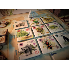 Votre Jeu Sur les traces de Darwin - Jeux de société à Lille : THYLGAMES