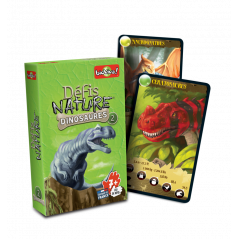 Votre Jeu Défis Nature - Dinosaures 2 Vert - Jeux de société à Lille : THYLGAMES