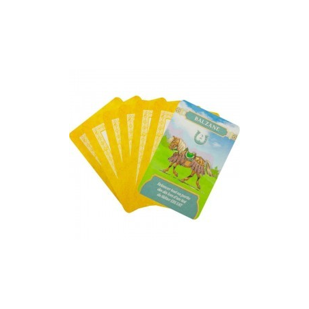 OLTRÉÉ: MONTURES & DESTRIERS